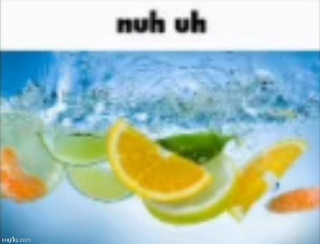 nuh uh | image tagged in nuh uh | made w/ Imgflip meme maker