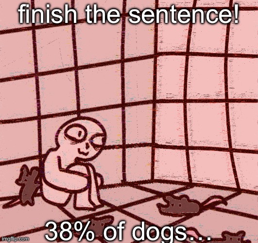 crazy? | finish the sentence! 38% of dogs… | image tagged in crazy | made w/ Imgflip meme maker