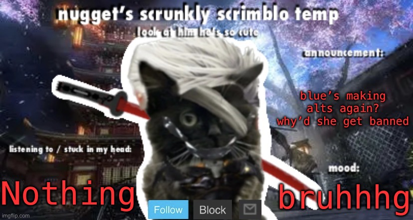 Nugget’s Scrunkly Scrimblo Temp | blue’s making alts again? why’d she get banned; Nothing; bruhhhg | image tagged in nugget s scrunkly scrimblo temp | made w/ Imgflip meme maker