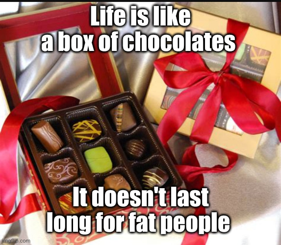 Flick7 might steal this meme idk | Life is like a box of chocolates; It doesn't last long for fat people | image tagged in dark humor,dark,fat people,funny,chocolate,so true | made w/ Imgflip meme maker