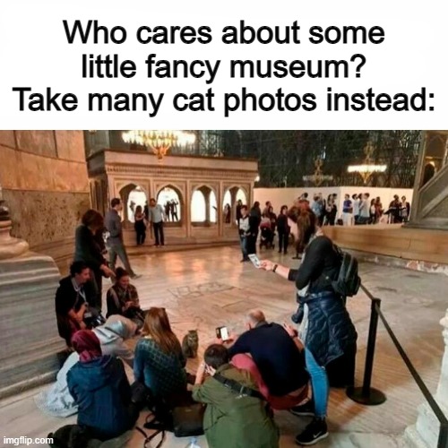 This is really heart-warming :D | Who cares about some little fancy museum? Take many cat photos instead: | image tagged in funny,not funny | made w/ Imgflip meme maker