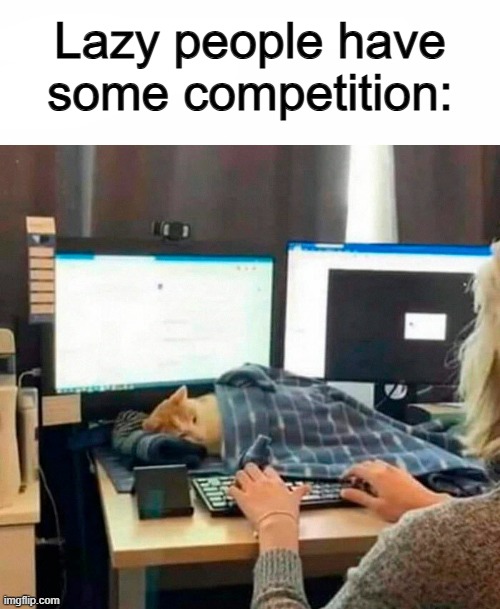 Zzzz... | Lazy people have some competition: | image tagged in surprised pikachu hd | made w/ Imgflip meme maker