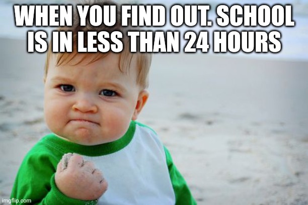 Success Kid Original | WHEN YOU FIND OUT. SCHOOL IS IN LESS THAN 24 HOURS | image tagged in memes,success kid original | made w/ Imgflip meme maker