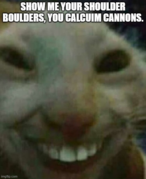 Cat smiling | SHOW ME YOUR SHOULDER BOULDERS, YOU CALCUIM CANNONS. | image tagged in cat smiling | made w/ Imgflip meme maker