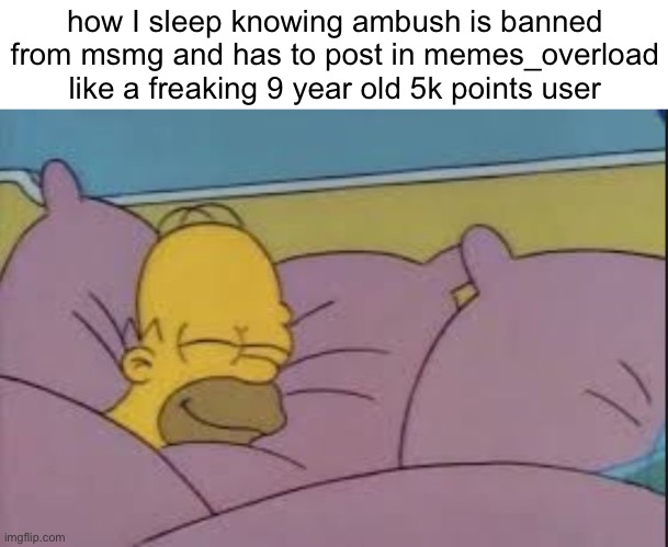 it’s been like this for months now, let’s keep it this way | how I sleep knowing ambush is banned from msmg and has to post in memes_overload like a freaking 9 year old 5k points user | image tagged in how i sleep homer simpson | made w/ Imgflip meme maker