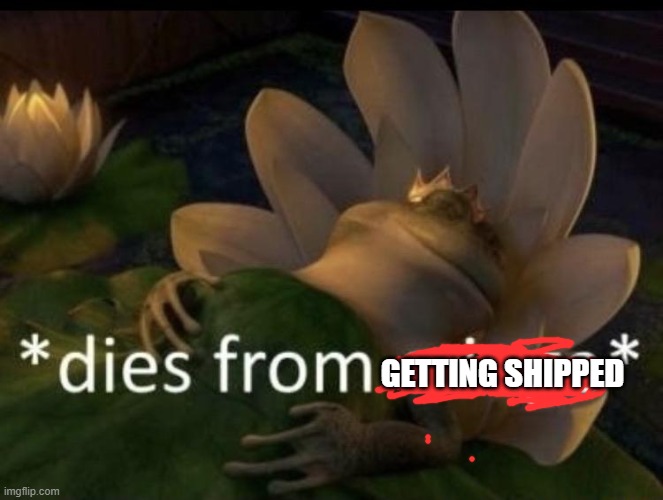Dies from cringe | GETTING SHIPPED | image tagged in dies from cringe | made w/ Imgflip meme maker