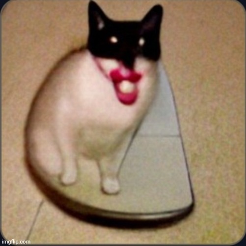 dafuq is this | image tagged in dafuq is this | made w/ Imgflip meme maker