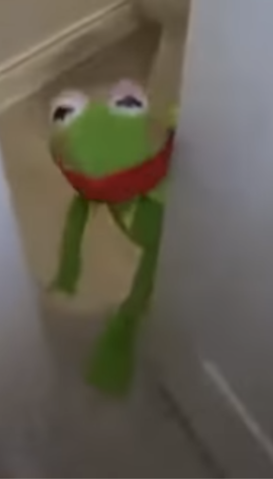 Female Kermit Blank Meme Template