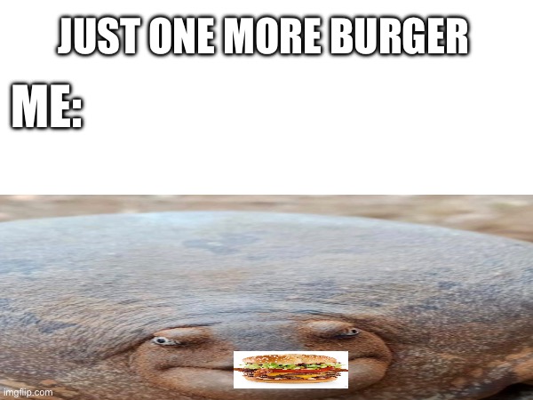 To much ya think | JUST ONE MORE BURGER; ME: | image tagged in frog,memes,hamburger | made w/ Imgflip meme maker