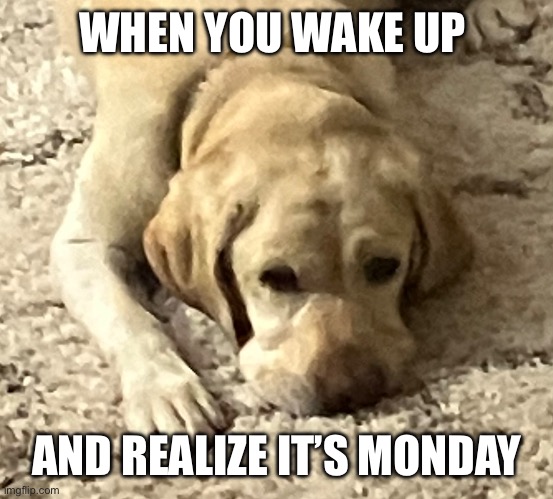 WHEN YOU WAKE UP; AND REALIZE IT’S MONDAY | made w/ Imgflip meme maker