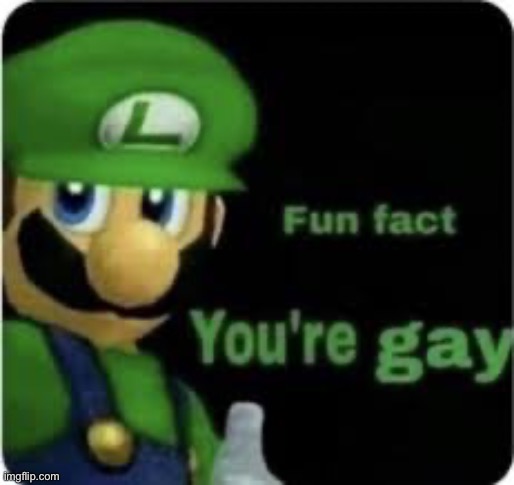 Fun fact, u gay | image tagged in fun fact u gay | made w/ Imgflip meme maker