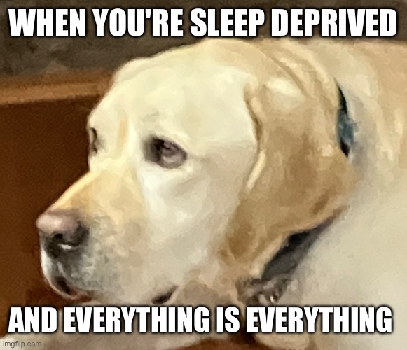 WHEN YOU'RE SLEEP DEPRIVED; AND EVERYTHING IS EVERYTHING | made w/ Imgflip meme maker