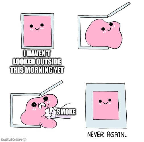 Smoky morning | I HAVEN'T LOOKED OUTSIDE THIS MORNING YET; SMOKE | image tagged in pink blob in the box,cold weather | made w/ Imgflip meme maker