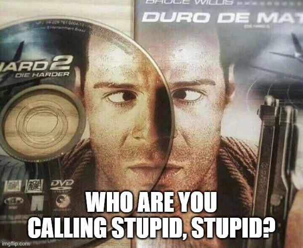 Die Hard | WHO ARE YOU CALLING STUPID, STUPID? | image tagged in funny,dank memes | made w/ Imgflip meme maker