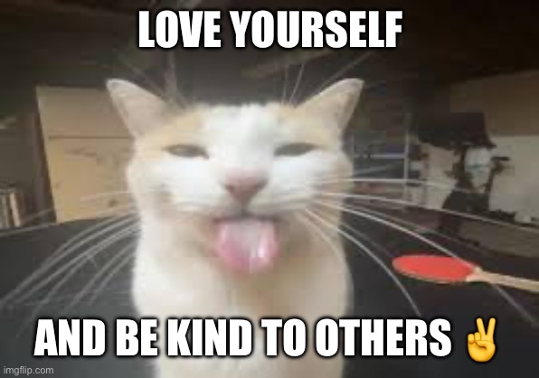 Cat | LOVE YOURSELF; AND BE KIND TO OTHERS ✌️ | image tagged in cat | made w/ Imgflip meme maker
