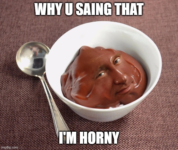 Vladimir Pudding | WHY U SAING THAT I'M HORNY | image tagged in vladimir pudding | made w/ Imgflip meme maker