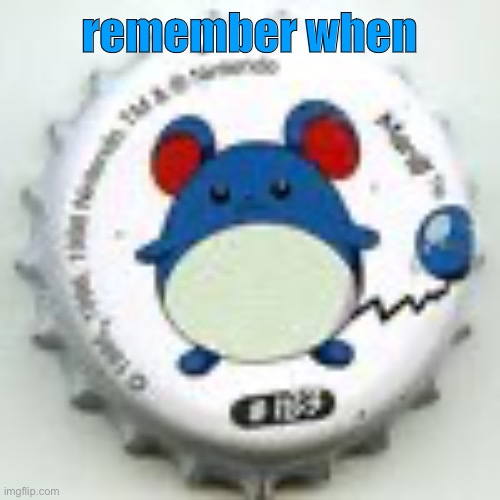 Marill 11 | remember when; ⁤ | image tagged in marill 11 | made w/ Imgflip meme maker
