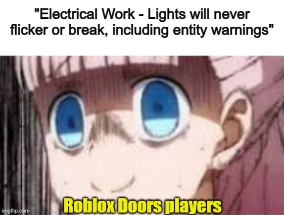 That's a really cool modifier :) | "Electrical Work - Lights will never flicker or break, including entity warnings"; Roblox Doors players | made w/ Imgflip meme maker