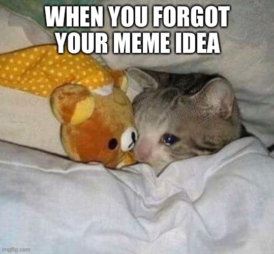 I just had a meme Idea I was sure gonna make the front page and I F*CKING FORGOT IT | WHEN YOU FORGOT YOUR MEME IDEA | image tagged in crying cat | made w/ Imgflip meme maker
