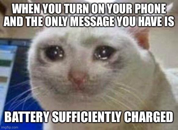 Unpopular people problems | WHEN YOU TURN ON YOUR PHONE AND THE ONLY MESSAGE YOU HAVE IS; BATTERY SUFFICIENTLY CHARGED | image tagged in sad cat | made w/ Imgflip meme maker