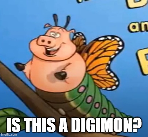 Seriously What Is This? | IS THIS A DIGIMON? | image tagged in pigafly | made w/ Imgflip meme maker