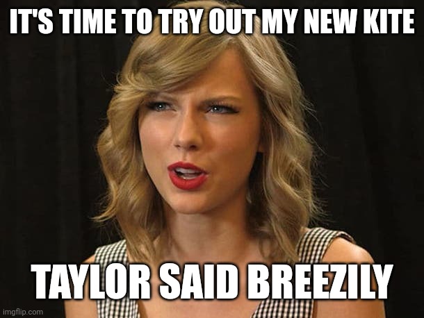 Taylor said breezily | IT'S TIME TO TRY OUT MY NEW KITE; TAYLOR SAID BREEZILY | image tagged in taylor swiftie | made w/ Imgflip meme maker