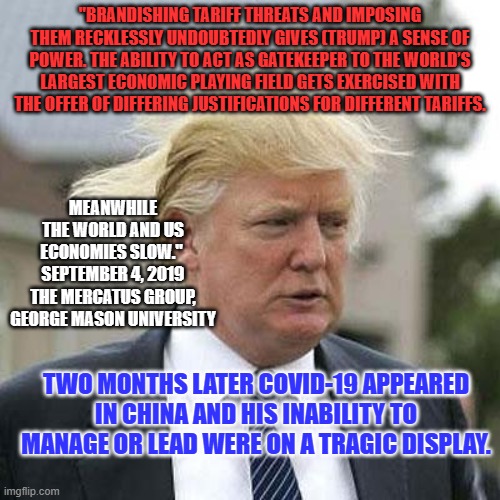 Our inept President became an inept Insurrectionist. | "BRANDISHING TARIFF THREATS AND IMPOSING THEM RECKLESSLY UNDOUBTEDLY GIVES (TRUMP) A SENSE OF POWER. THE ABILITY TO ACT AS GATEKEEPER TO THE WORLD’S LARGEST ECONOMIC PLAYING FIELD GETS EXERCISED WITH THE OFFER OF DIFFERING JUSTIFICATIONS FOR DIFFERENT TARIFFS. MEANWHILE THE WORLD AND US ECONOMIES SLOW." 
SEPTEMBER 4, 2019
 THE MERCATUS GROUP, 
GEORGE MASON UNIVERSITY; TWO MONTHS LATER COVID-19 APPEARED IN CHINA AND HIS INABILITY TO MANAGE OR LEAD WERE ON A TRAGIC DISPLAY. | image tagged in donald trump | made w/ Imgflip meme maker