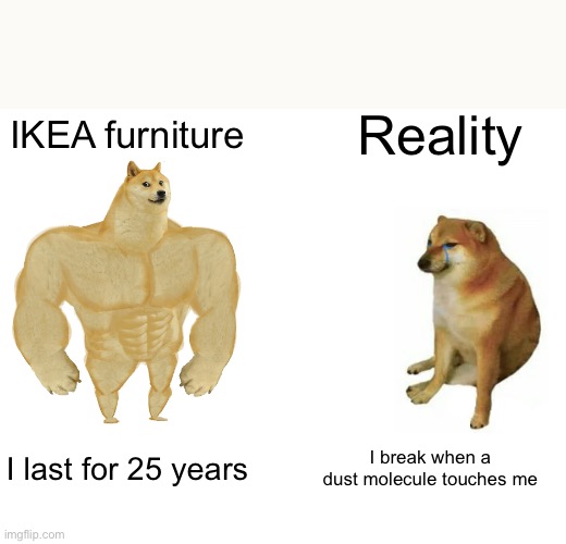 Buff Doge vs. Cheems Meme | Reality; IKEA furniture; I break when a dust molecule touches me; I last for 25 years | image tagged in memes,buff doge vs cheems | made w/ Imgflip meme maker