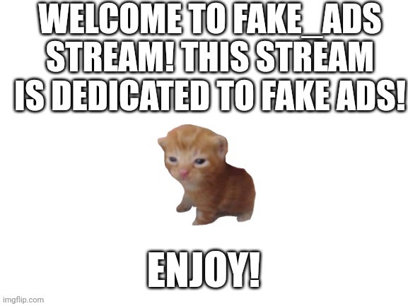Welcome! | image tagged in cat,ads,blank white template | made w/ Imgflip meme maker