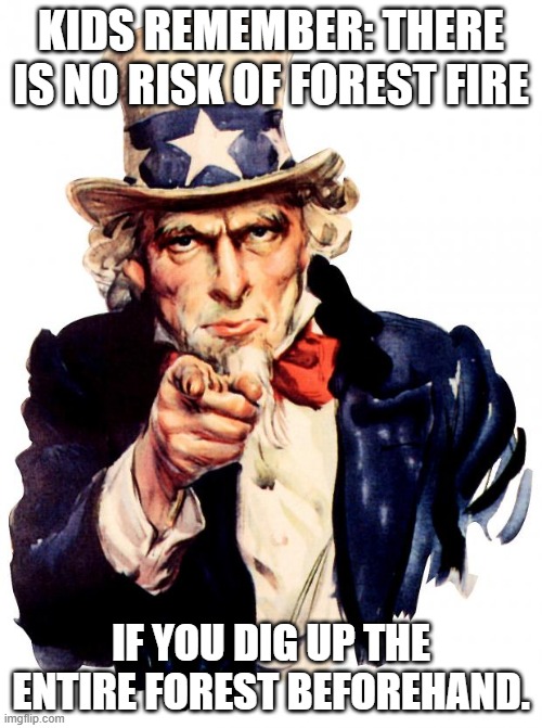 imma stupid mood | KIDS REMEMBER: THERE IS NO RISK OF FOREST FIRE; IF YOU DIG UP THE ENTIRE FOREST BEFOREHAND. | image tagged in memes,uncle sam,stupid | made w/ Imgflip meme maker