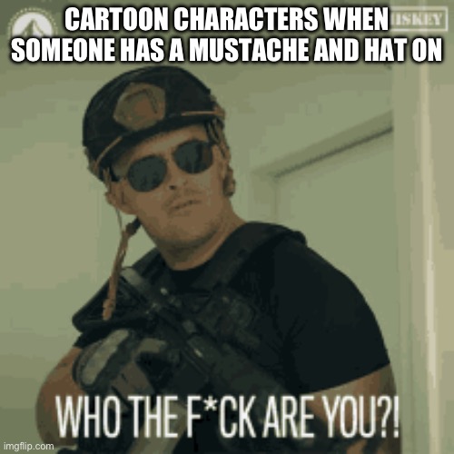 Like bro | CARTOON CHARACTERS WHEN SOMEONE HAS A MUSTACHE AND HAT ON | image tagged in comics/cartoons | made w/ Imgflip meme maker