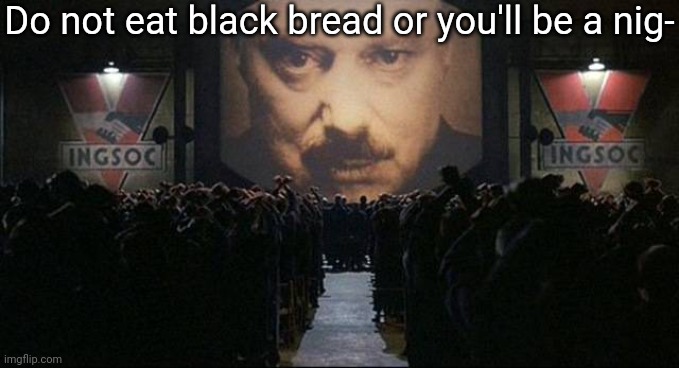 Big Brother 1984 | Do not eat black bread or you'll be a nig- | image tagged in big brother 1984 | made w/ Imgflip meme maker