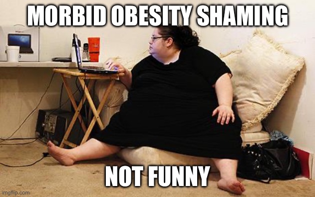 Obese Woman at Computer | MORBID OBESITY SHAMING; NOT FUNNY | image tagged in obese woman at computer | made w/ Imgflip meme maker