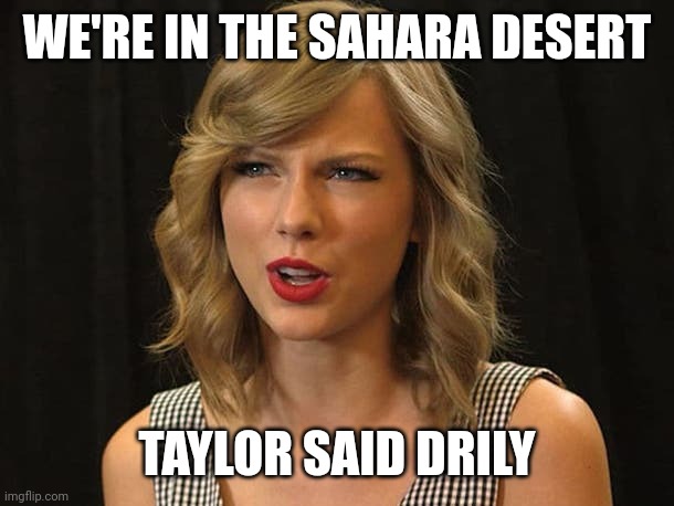 Taylor said drily | WE'RE IN THE SAHARA DESERT; TAYLOR SAID DRILY | image tagged in taylor swiftie | made w/ Imgflip meme maker