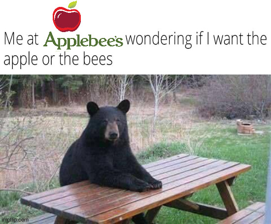 Bear sitting at picnic table | image tagged in bear sitting at picnic table | made w/ Imgflip meme maker