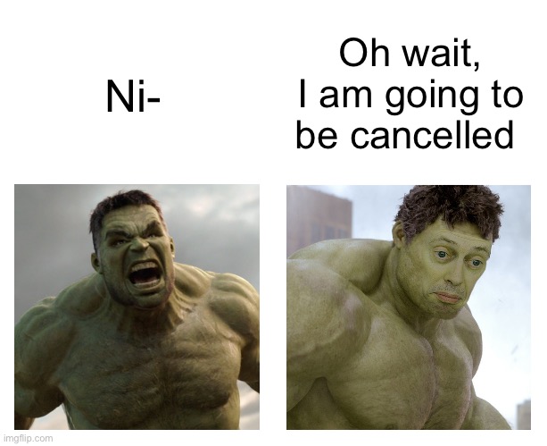 Hulk angry then realizes he's wrong | Oh wait, I am going to be cancelled; Ni- | image tagged in hulk angry then realizes he's wrong | made w/ Imgflip meme maker
