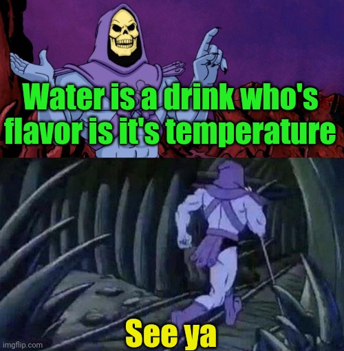 Meme #3,535 | Water is a drink who's flavor is it's temperature; See ya | image tagged in he man skeleton advices,shower thoughts,water,true,memes,wait | made w/ Imgflip meme maker