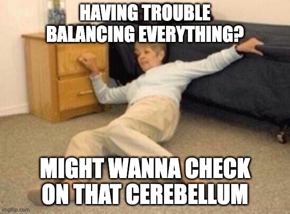 woman falling in shock | HAVING TROUBLE BALANCING EVERYTHING? MIGHT WANNA CHECK ON THAT CEREBELLUM | image tagged in woman falling in shock | made w/ Imgflip meme maker