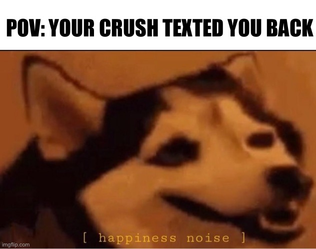happines noise | POV: YOUR CRUSH TEXTED YOU BACK | image tagged in happines noise | made w/ Imgflip meme maker