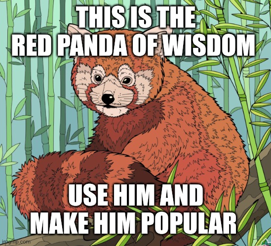 Red Panda Of Wisdom | THIS IS THE RED PANDA OF WISDOM; USE HIM AND MAKE HIM POPULAR | image tagged in red panda of wisdom | made w/ Imgflip meme maker