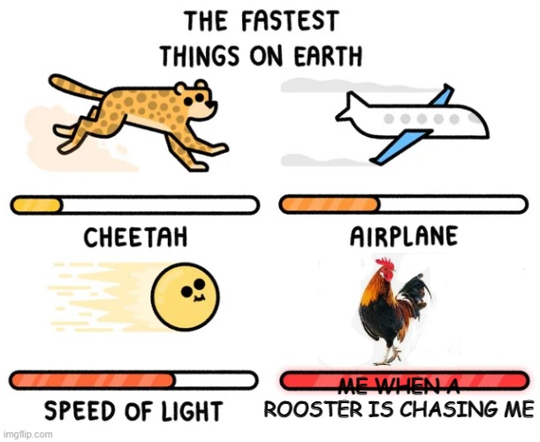 I live on a farm, you can tell | ME WHEN A ROOSTER IS CHASING ME | image tagged in the fastest things on earth | made w/ Imgflip meme maker