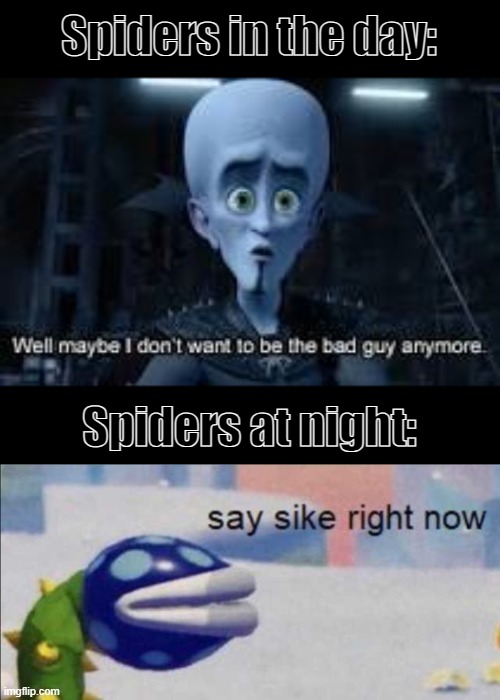 Choose your side, spiders | Spiders in the day:; Spiders at night: | image tagged in well maybe i don't wanna be the bad guy anymore,say sike right now,minecraft memes,memes | made w/ Imgflip meme maker