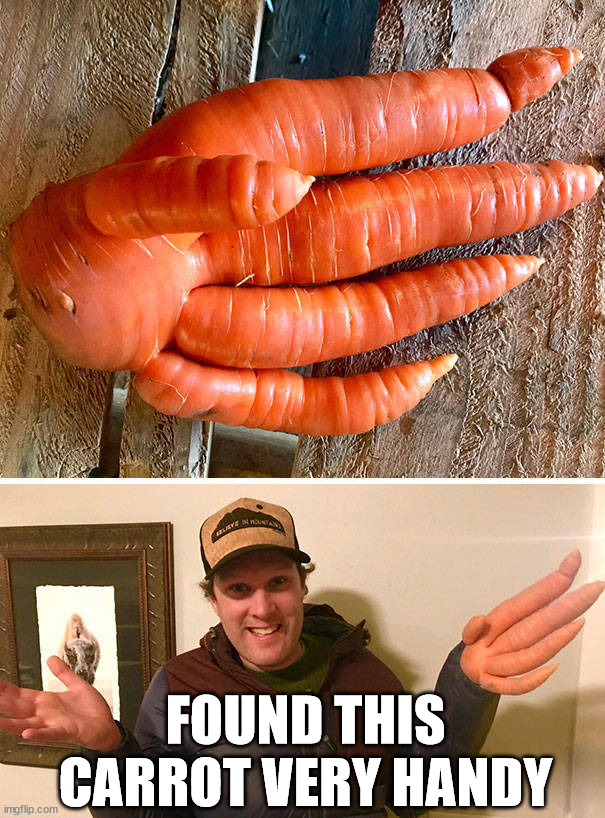FOUND THIS CARROT VERY HANDY | made w/ Imgflip meme maker