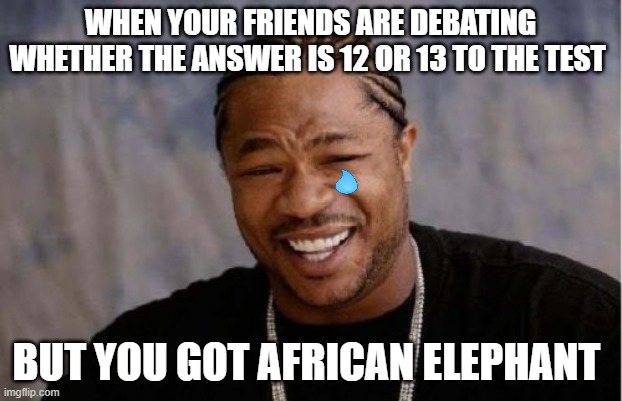 the fear of god irl | WHEN YOUR FRIENDS ARE DEBATING WHETHER THE ANSWER IS 12 OR 13 TO THE TEST; BUT YOU GOT AFRICAN ELEPHANT | image tagged in memes,yo dawg heard you | made w/ Imgflip meme maker