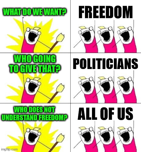 What Do We Want 3 Meme | WHAT DO WE WANT? FREEDOM; WHO GOING TO GIVE THAT? POLITICIANS; WHO DOES NOT UNDERSTAND FREEDOM? ALL OF US | image tagged in memes,what do we want 3 | made w/ Imgflip meme maker