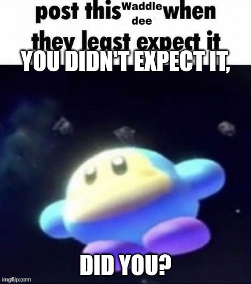 Did you expect it? | YOU DIDN'T EXPECT IT, DID YOU? | image tagged in post this waddle dee when they least expect it | made w/ Imgflip meme maker