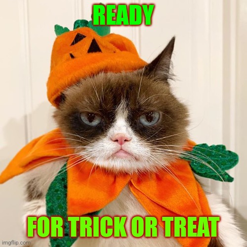 Grumpy Cat Halloween | READY; FOR TRICK OR TREAT | image tagged in grumpy cat halloween | made w/ Imgflip meme maker