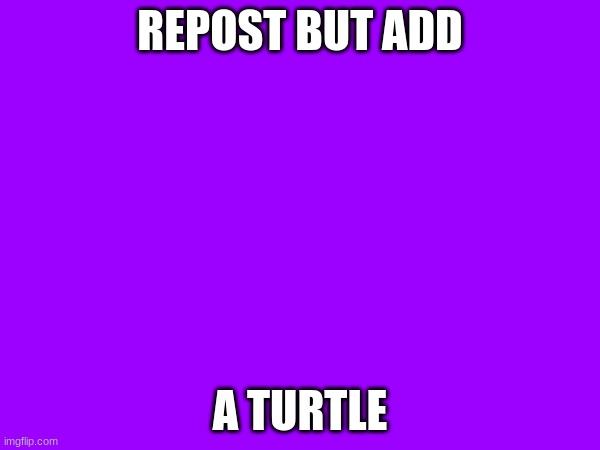 I like turtles | REPOST BUT ADD; A TURTLE | image tagged in i like turtles | made w/ Imgflip meme maker