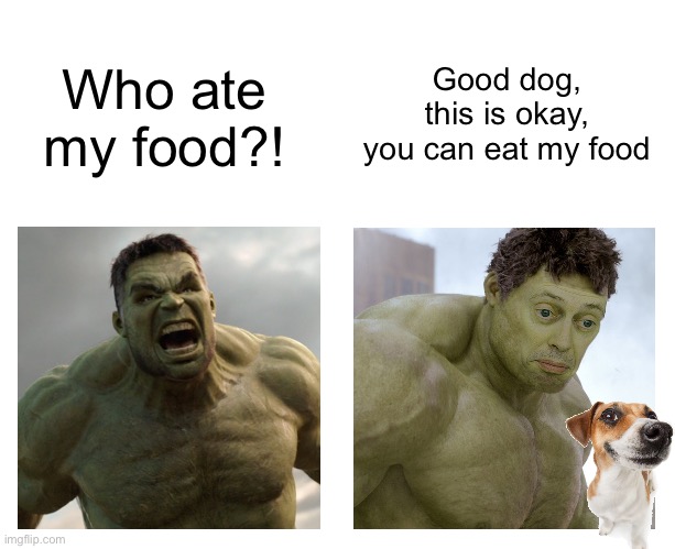 Hulk angry then realizes he's wrong | Good dog, this is okay, you can eat my food; Who ate my food?! | image tagged in hulk angry then realizes he's wrong | made w/ Imgflip meme maker