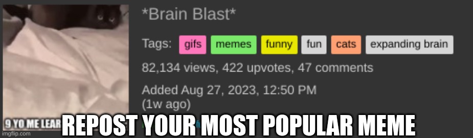 REPOST YOUR MOST POPULAR MEME | image tagged in memes | made w/ Imgflip meme maker